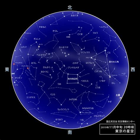 11月26日 星座|11月26日是什么星座？